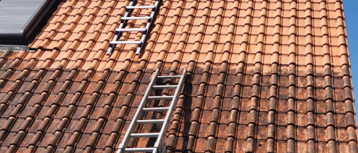 Nettoyage de mousse sur façade